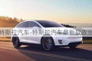 关于特斯拉汽车-特斯拉汽车最新款政治环境