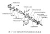 汽车传动轴的原理-汽车传动轴工作原理