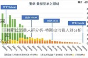 特斯拉消费人群分析-特斯拉消费人群分析