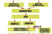 北京汽车摇号怎么申请新能源车-北京汽车摇号申请步骤