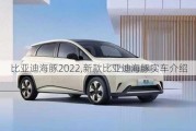 比亚迪海豚2022,新款比亚迪海豚实车介绍