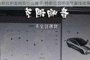 特斯拉的音响是什么牌子-特斯拉音响调节最佳效果