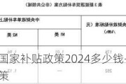 新能源汽车国家补贴政策2024多少钱-新能源汽车国家补贴政策