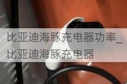 比亚迪海豚充电器功率_比亚迪海豚充电器