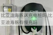 比亚迪海豚送充电桩吗,比亚迪海豚有慢充吗