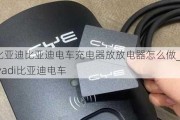 比亚迪比亚迪电车充电器放放电器怎么做_biyadi比亚迪电车