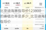 比亚迪海豚指导价123800的峰值功率是多少_比亚迪海豚指导价