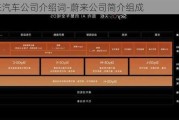 蔚来汽车公司介绍词-蔚来公司简介组成