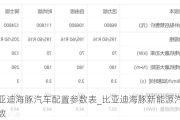 比亚迪海豚汽车配置参数表_比亚迪海豚新能源汽车参数