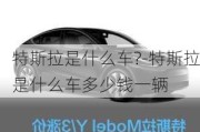 特斯拉是什么车?-特斯拉是什么车多少钱一辆