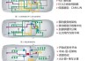 汽车ivi系统-汽车it系统