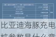 比亚迪海豚充电桩参数是什么意思_比亚迪海豚充电多长时间充满