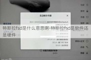 特斯拉fsd是什么意思啊-特斯拉fsd是软件还是硬件