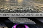 小鹏p7升降高音故障,小鹏p7升降高音