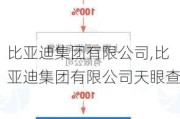 比亚迪集团有限公司,比亚迪集团有限公司天眼查