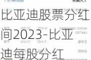 比亚迪股票分红时间2023-比亚迪每股分红