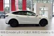 特斯拉model y多少匹最好,特斯拉 model y 马力