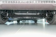 比亚迪海豚新款2023款报价,比亚迪海豚底盘多高