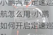 小鹏汽车定速巡航怎么用-小鹏如何开启定速巡航