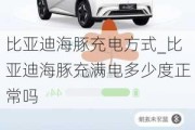 比亚迪海豚充电方式_比亚迪海豚充满电多少度正常吗