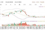 特斯拉股票分析论文3000-特斯拉股票分析报告