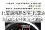 比亚迪海豚故障_比亚迪海豚胎压报警怎么消除