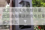 比亚迪海豚充电桩容量,比亚迪海豚送的充电桩是多少千瓦