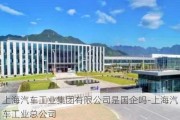 上海汽车工业集团有限公司是国企吗-上海汽车工业总公司