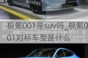 极氪001是suv吗_极氪001对标车型是什么