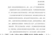 比亚迪汽车营销策略-比亚迪汽车营销策略研究主要研究内容及方法