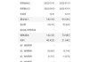 理想汽车财务报表中文版-理想汽车财务报表