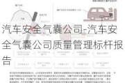 汽车安全气囊公司-汽车安全气囊公司质量管理标杆报告