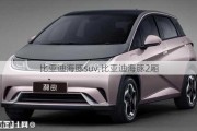 比亚迪海豚suv,比亚迪海豚2厢