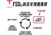 特斯拉fsd技术的背后-特斯拉fsd何时在中国开放