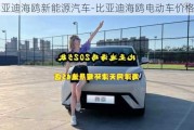 比亚迪海鸥新能源汽车-比亚迪海鸥电动车价格表