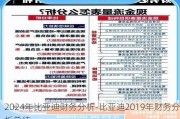 2024年比亚迪财务分析-比亚迪2019年财务分析总结