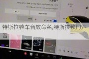 特斯拉锁车音效命名,特斯拉锁门声音