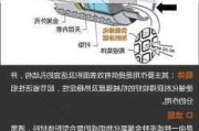 汽车尾气处理催化剂-汽车尾气处理催化剂是什么