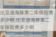 比亚迪海豚第二年保险费多少啊,比亚迪海豚第二年保险费多少啊