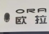 欧拉好猫logo,欧拉好猫logo倒过来