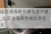 比亚迪海豚充满电多少度_比亚迪海豚充电功率冬天