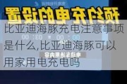 比亚迪海豚充电注意事项是什么,比亚迪海豚可以用家用电充电吗