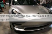 特斯拉车属于哪个档次的车-特斯拉车属于什么档次类型