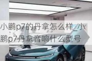 小鹏p7的丹拿怎么样_小鹏p7丹拿音响什么型号