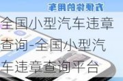 全国小型汽车违章查询-全国小型汽车违章查询平台