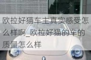 欧拉好猫车主真实感受怎么样啊_欧拉好猫的车的质量怎么样