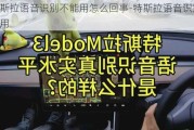 特斯拉语音识别不能用怎么回事-特斯拉语音识别不能用