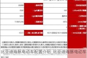 比亚迪海豚电动车配置介绍_比亚迪海豚电动车配置