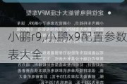 小鹏r9,小鹏x9配置参数表大全