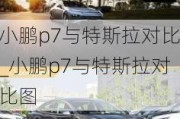 小鹏p7与特斯拉对比_小鹏p7与特斯拉对比图